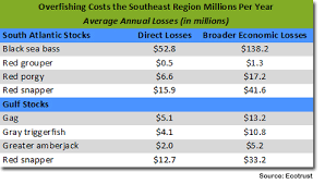 New Study Overfishing Costs Southeast And Gulf Regions
