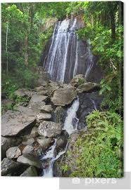 I migliori hotel e alberghi vicino a la coca falls, foresta nazionale el yunque, portorico: La Coca Falls Puerto Rico Canvas Print Pixers We Live To Change