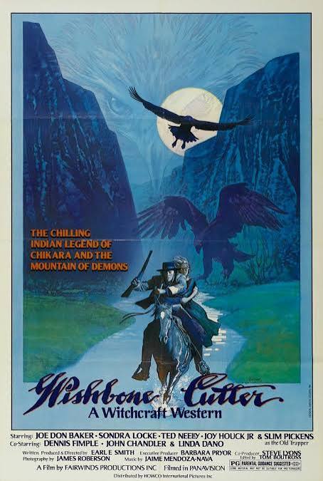 The Shadow of Chikara (1977) - IMDb