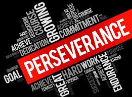 Image result for perseverance