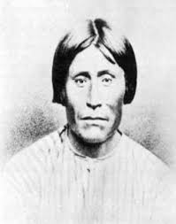 Hãy chôn trái tim tôi ở Wounded Knee : Lịch Sử Dân Da Đỏ Miền Tây Hoa Kỳ