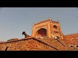 Buland Darwaza Gate Of Magnificence Fatehpur Agra India India Tourist Tourist Places India Tour