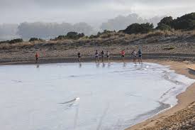 The prime sustainable destination in the mediterranean, located in the greek region of messinia, southwest peloponnese. Navarino Challenge Okt 17 2021 World S Marathons