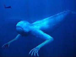 Giant Sea Monster Found In The Bermuda Triangle Real Sea Monsters Deep Sea Creatures Weird Creatures