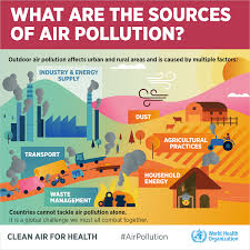 According to the world's worst polluted places by blacksmith institute in 2008, two of the worst pollution problems in the world are urban air. Who Air Pollution Infographics