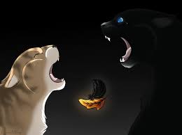 Leafpool And Crowfeather Warrior Cat Memes Warrior Cats Fan Art Warrior Cats