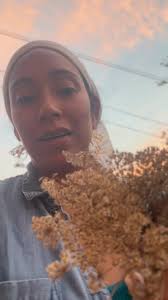 Elemental. The song is:Four. You are the 5th #growsomething #water  #carrotseeds #jazz #autumnharvest #seeds #carrots