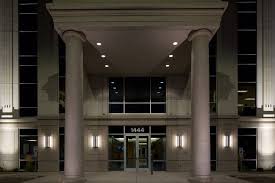 Image result for Isoglossa eliasbandae