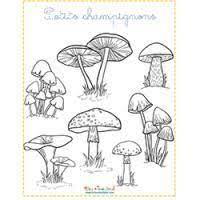 Coloriages De Champignons Et Scenes D Automne Champignon Dessin Dessin Automne Coloriage