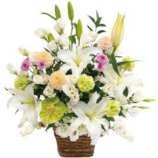 We will deliver the best quality and the most yummy cakes possible to make your loved ones and you. Flower Delivery To Japan Same Day Flower Delivery To Japan Japan Florist