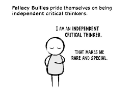 Beware The Fallacy Bully Logic And Critical Thinking Bullying Critical Thinking