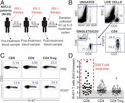 Jefe paramilitar y narcotraficante colombiano. Proliferation Of Pd 1 Cd8 T Cells In Peripheral Blood After Pd 1 Targeted Therapy In Lung Cancer Patients Pnas