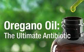 Oregano Oil Is Far More Superior Than Prescription Antibiotics Without The Side Effects Oregano Oil Oregano Essential Oil Oils
