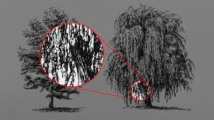 How To Draw Trees Forests are the wild other in many stories, acting as borders, sources of mystery and sources of resources and are key to any world map. how to draw trees