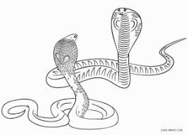 19 k happy customers 9.5 out of 10 satisfaction rate 527 writers active. Animal Coloring Pages For Older Kids Novocom Top