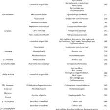 Image result for Buchnera buchneroides