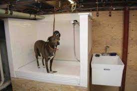 Pet Grooming Tubs Ideas On Foter Dog Washing Station Pet Grooming Tub Dog House Diy
