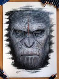 Check spelling or type a new query. 26 Stunning Drawings Of Animals Made From Pencil And Paper