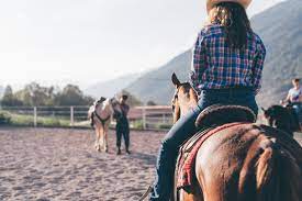 We did not find results for: Cowgirl Riding Horse In Rural Equestrian Arena Primaluna Trentino Alto Adige Italy Stockphoto