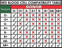 Timeless Blood Match Chart 2019