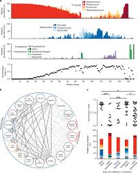 Review and current concepts in treatment, systems of care, and outcomes introduction necrotizing soft tissue infections (nstis) rank among the more difficult. Molecular Profiling Of Tissue Biopsies Reveals Unique Signatures Associated With Streptococcal Necrotizing Soft Tissue Infections Nature Communications