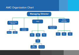 Amc Organization Chart Related Keywords Suggestions Amc