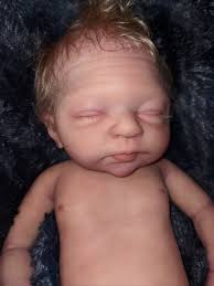 Reborn Baby Doll Elena Westbrook Babies Oh Hold For Marilu By Fallon Hart  From Almost Heaven