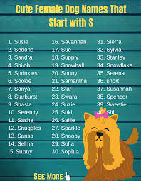 After all, this is a name that. Dog Names That Start With S For Girl And Boy Dog