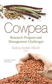 God seeds are seeds that give you several or major advantages when starting the game compared to other average seeds. Pdf Cowpea