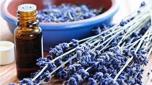 See full list on wikihow.com How To Start An Aromatherapy Business Truic