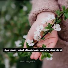 Pin By غلا عبدالله On Islam Quran Paris Flowers Arabic Quotes Arabic Love Quotes