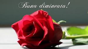 O zi plina de bucurie liniste lumina si frumos. Mesaje De BunÄƒ DimineaÈ›a 50 De Replici Speciale Pentru Iubit Sau IubitÄƒ