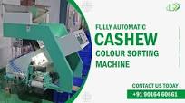 Automatic Cashew Color Sorting Process🤩Kaju Color Sorter🔹Cashew Nut Color  Sorter Machine #cashew