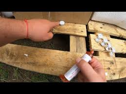 Boite pour une utilisation sécurisée. Comment Se Debarrasser Des Fourmis Dans Son Jardin Youtube