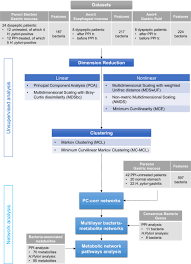 Alb malaysia firms to watch 2019 asian legal. Nonlinear Machine Learning Pattern Recognition And Bacteria Metabolite Multilayer Network Analysis Of Perturbed Gastric Microbiome Nature Communications