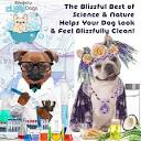 The Blissful Dog Shine-On + Sheen Coat Spray, All ... - Amazon.com