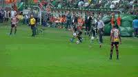 Vovô, vozão e alvinegro de porangabuçu cores: Sao Paulo Palestra Gif By Se Palmeiras Find Share On Giphy