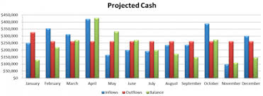 The Importance Of Cash Projections Nonprofit Accounting Basics