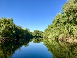 See more of imagini din delta dunarii si dobrogea on facebook. Top 20 Cele Mai Frumoase Fotografii Din Delta DunÄƒrii VisÄƒtor Prin Lume