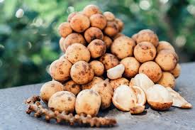 Lansium parasiticum, commonly known as langsat (/ˈlɑːŋsɑːt/), lanzones (/lɑːˈnzɔːnɛs/), or longkong in english; Lanzones Fruit Health Benefits And Nutrition Facts Wild N Free Diary