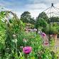 The Cottage Garden and Potager event image