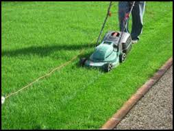 Is Ilanlari Mersinmezitli De Bahce Bakimindan Anlayan Personel Araniyor Is Ilanlari Mersin