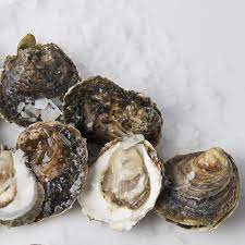 Ostra y sistema inmunológico