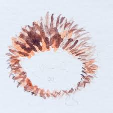 Illustration Susser Igel Mit Aquarell Farben Creative Club