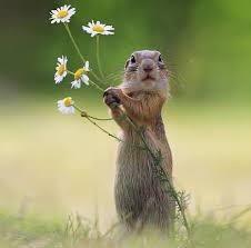 05.12.2024 G�n�n Resmi - al�r�m bi dal papatya...