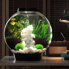 Biorb 30 Aquarium With Led Biorb Fish Tank Aquarium Aquarium Driftwood
