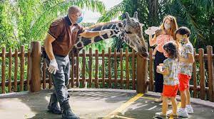 We Visited The Singapore Zoo In Phase 2 Here S What You Need To Know Today