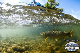 Henrys fork snake river (henrys fork, north fork snake river) in fremont and madison counties is 112.5 miles in length. Guided Fly Fishing On The Henry S Fork Snake River Teton River Yellowstone Park Picture Of Trr Outfitters Ashton Tripadvisor
