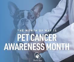 We did not find results for: West Coast Pet Memorial Los Angeles Ca 2021
