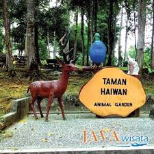 Syekh abdul shomad al palembani adalah ulama yang terkenal di tanah haram, beliau berasal dari daerah.tolong bantu kk kak tolong dong di jawab buat uas. Wisata Taman Botani Negara Shah Alam Malaysia